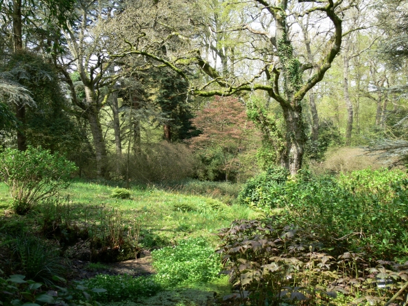 Bois des Moutiers (52) Mai 2012
